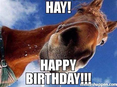 happy birthday horse funny